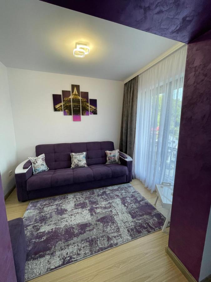 Bibis Apartments Nehoiu Esterno foto