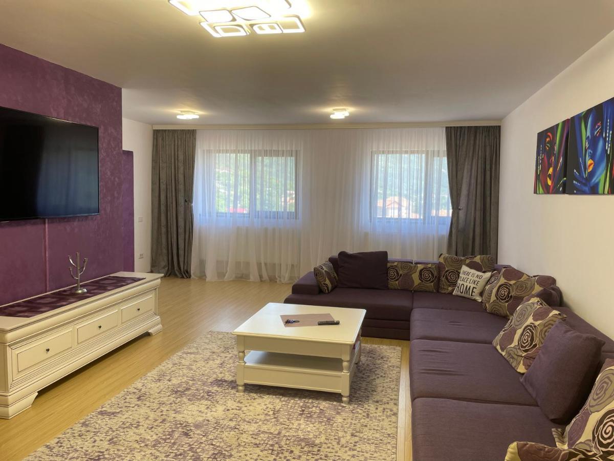 Bibis Apartments Nehoiu Esterno foto